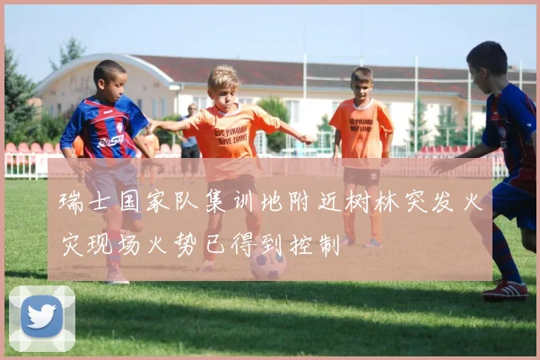 瑞士国家队集训地附近树林突发火灾现场火势已得到控制