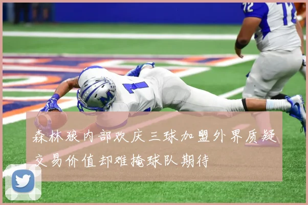 森林狼内部欢庆三球加盟外界质疑交易价值却难掩球队期待