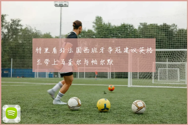 特里看好法国西班牙争冠建议英格兰带上马奎尔与帕尔默