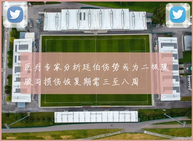 医疗专家分析廷伯伤势或为二级腹股沟损伤恢复期需三至八周